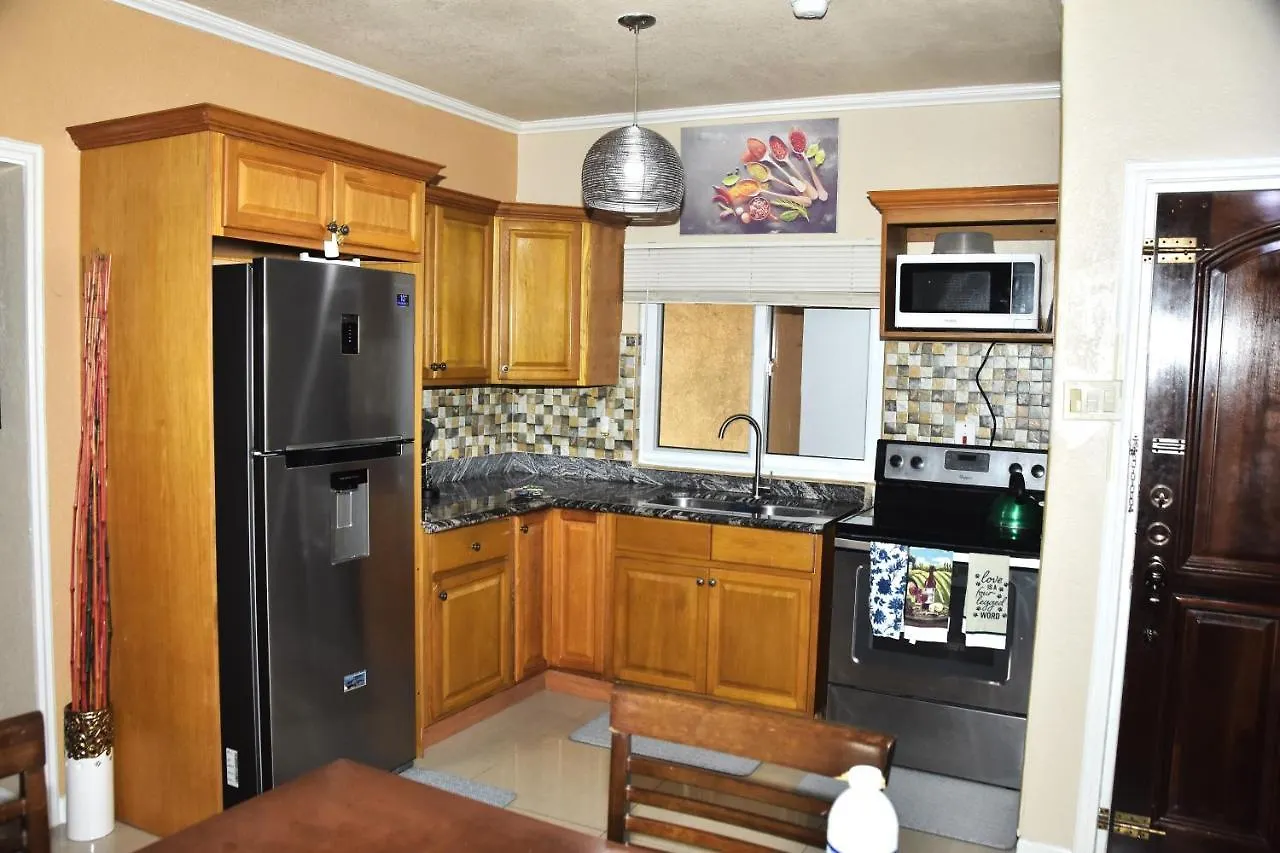 Deluxe Presidential suite 2 bedroom Kingston Appartement