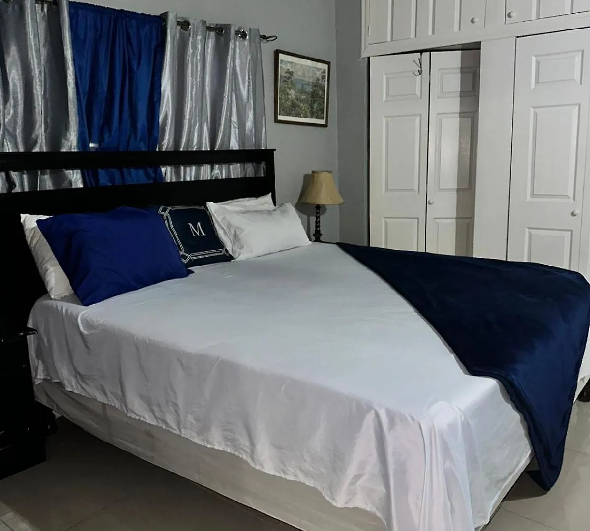 Deluxe Presidential suite 2 bedroom Kingston 0*,