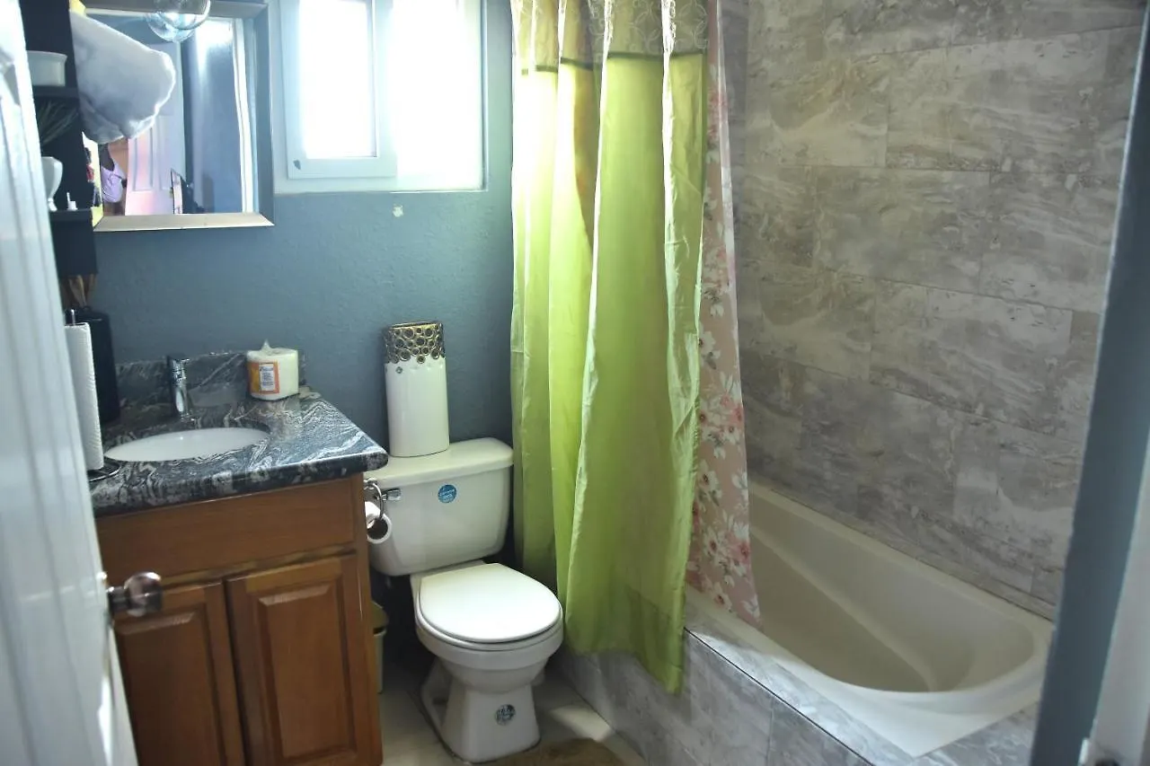Deluxe Presidential Suite Kingston Apartment